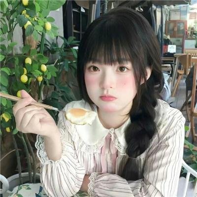 胭脂虎新传