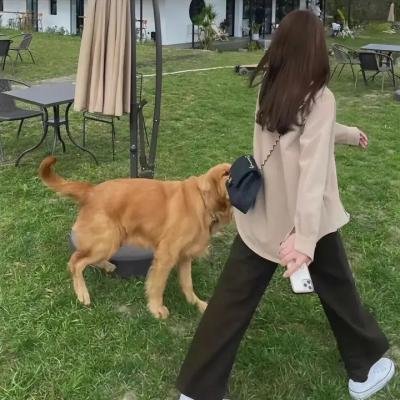 南拳北腿粤语